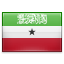 shiny Somaliland icon